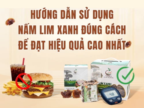 Hướng dẫn sử dụng nấm Lim Xanh đúng cách để đạt hiệu quả cao nhất